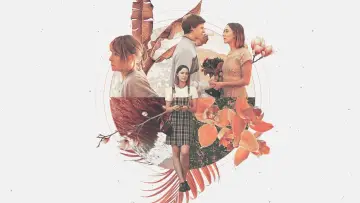 Zasłona do filmu "Lady Bird" #228096
