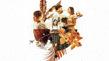 Zasłona do filmu "Lady Bird" #228108
