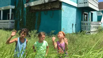 Zasłona do filmu "Projekt Floryda" #217977