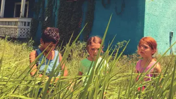 Zasłona do filmu "Projekt Floryda" #709843