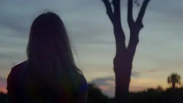 Zasłona do filmu "Projekt Floryda" #709857