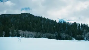 Zasłona do filmu "Wind River. Na przeklętej ziemi" #701746