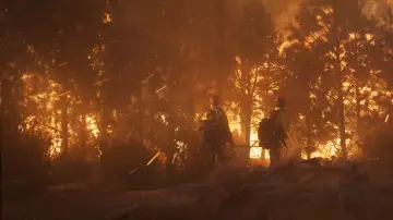 Zasłona do filmu "Tylko dla odważnych" #666110