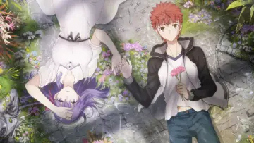 Zasłona do filmu "Fate/stay night: Heaven