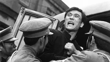 Zasłona do filmu "大虐殺" #1617163