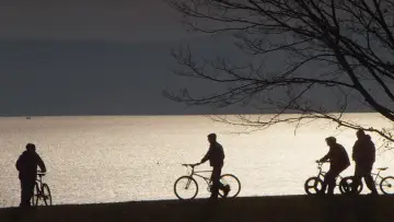 Zasłona do filmu "Super Dark Times" #287741