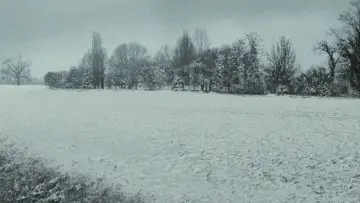 Zasłona do filmu "Tamte dni, tamte noce" #595883