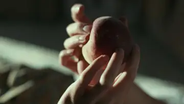 Zasłona do filmu "Tamte dni, tamte noce" #595975