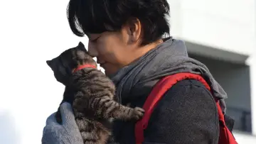 Zasłona do filmu "世界から猫が消えたなら" #1621374