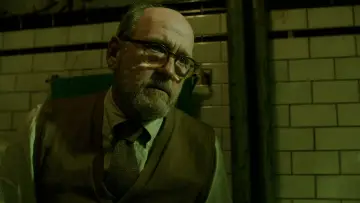 Zasłona do filmu "Kształt wody" #597886