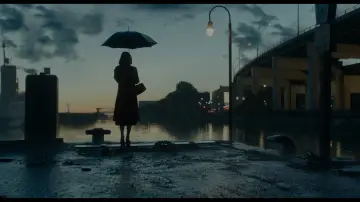 Zasłona do filmu "Kształt wody" #766745