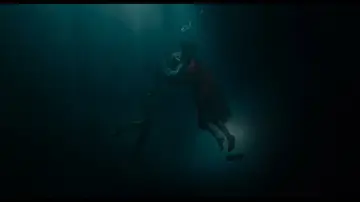 Zasłona do filmu "Kształt wody" #766747