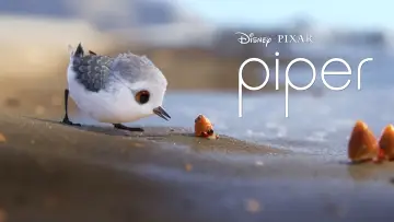 Zasłona do filmu "Pisklak" #177062