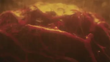 Zasłona do filmu "死霊の罠" #1126466