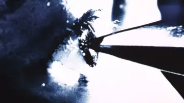 Zasłona do filmu "死霊の罠" #1126467