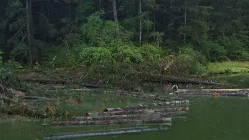 Zasłona do filmu "Rodzina Stamperów" #1079532