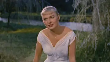 Zasłona do filmu "Długie Gorące Lato" #1168883