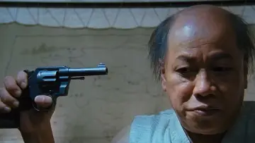 Zasłona do filmu "越光宝盒" #398258