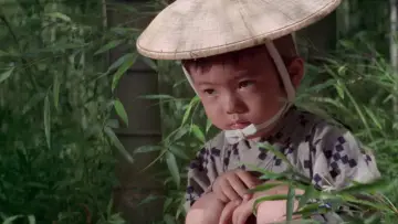 Zasłona do filmu "子連れ狼 死に風に向う乳母車" #948497