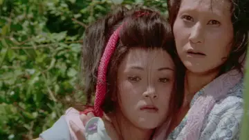 Zasłona do filmu "子連れ狼 死に風に向う乳母車" #948500
