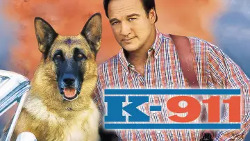 Zasłona do filmu "K-911" #948893