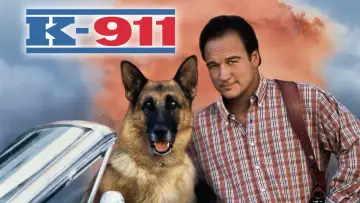 Zasłona do filmu "K-911" #948896