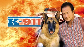 Zasłona do filmu "K-911" #948897