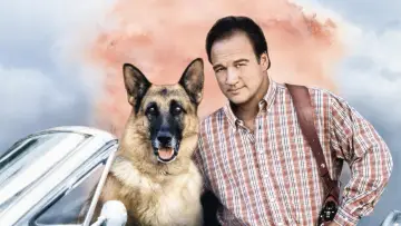 Zasłona do filmu "K-911" #948898