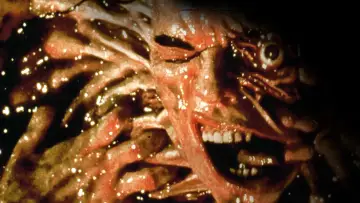 Zasłona do filmu "Amityville 1992: Najwyższy czas" #457745