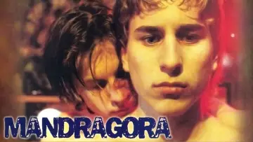 Zasłona do filmu "Mandragora" #945720