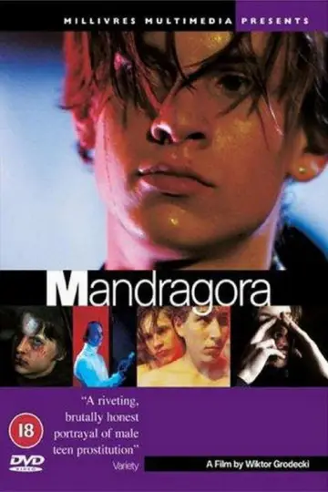 Plakat do filmu "Mandragora" #945726