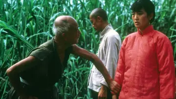 Zasłona do filmu "Czerwone sorgo" #429455