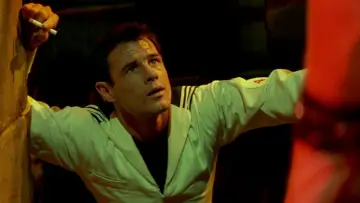Zasłona do filmu "Querelle" #1044446