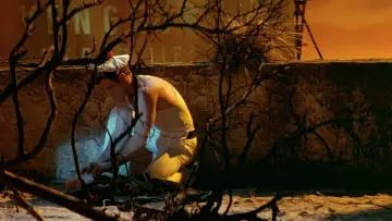 Zasłona do filmu "Querelle" #1044455