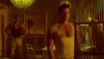 Zasłona do filmu "Querelle" #1044459