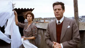 Zasłona do filmu "Szczególny dzień" #538838