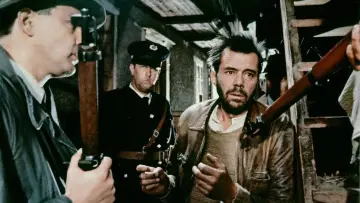 Zasłona do filmu "Desperacja" #498091