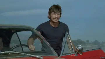 Zasłona do filmu "Zimny Pot" #389477