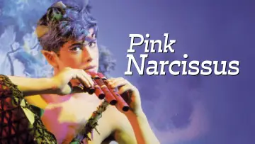 Zasłona do filmu "Pink Narcissus" #1112115