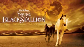 Zasłona do filmu "Young Black Stallion" #1058554