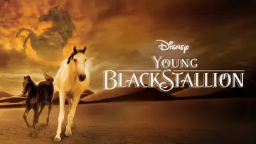 Zasłona do filmu "Young Black Stallion" #1058555