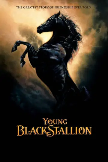Plakat do filmu "Young Black Stallion" #1058559