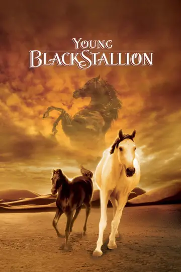 Plakat do filmu "Young Black Stallion" #1058560
