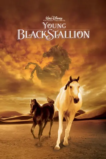 Plakat do filmu "Young Black Stallion" #1058561
