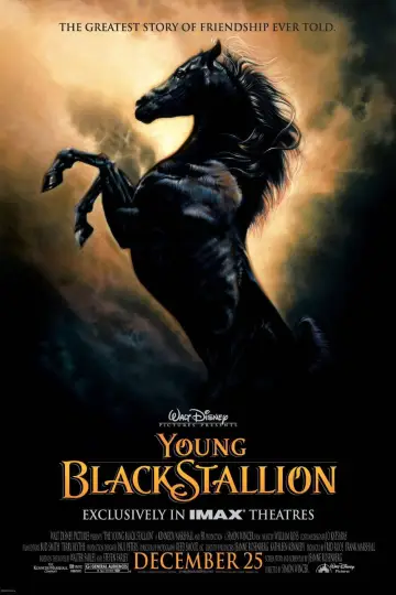 Plakat do filmu "Young Black Stallion" #1058562