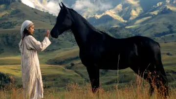 Zasłona do filmu "Young Black Stallion" #418863