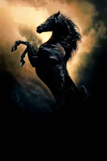 Plakat do filmu "Young Black Stallion" #418866