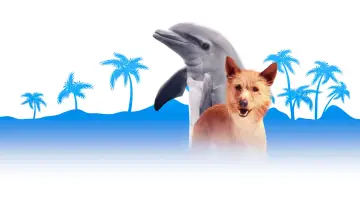 Zasłona do filmu "Zeus i Roksana" #1122931