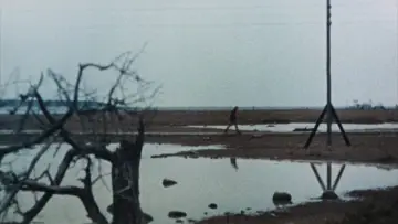Zasłona do filmu "Namiętności" #485289