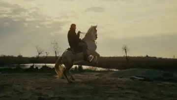 Zasłona do filmu "Kobieta i mężczyzna" #1648202